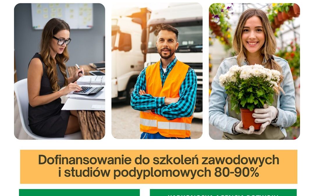 Nowe kompetencje, nowe perspektywy – kształcenie osób dorosłych w subregionie jeleniogórskim